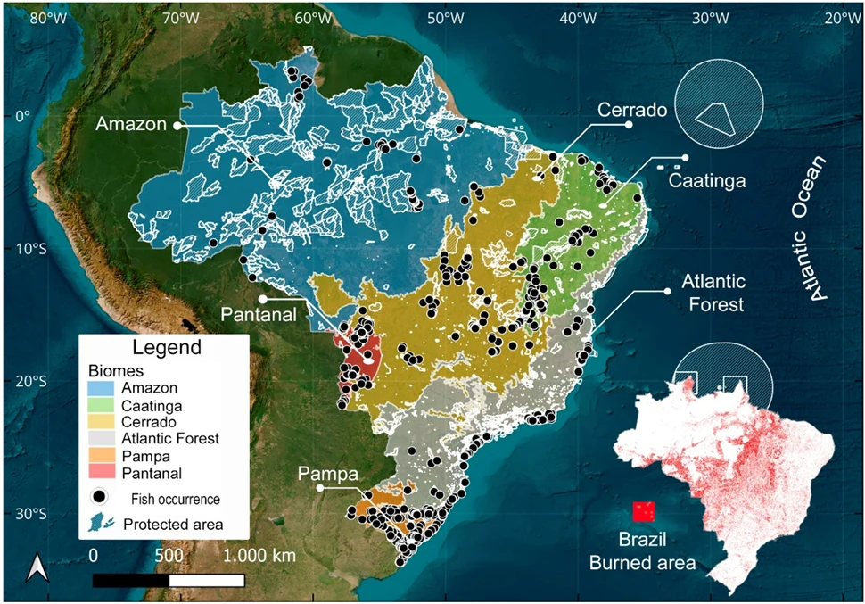 Mapa do Brasil com biomas, ocorrências de peixes e áreas protegidas